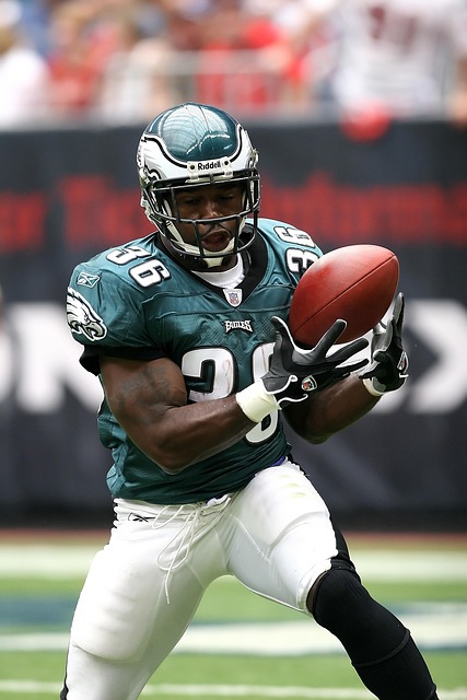 纯青的地步 纯青的地步